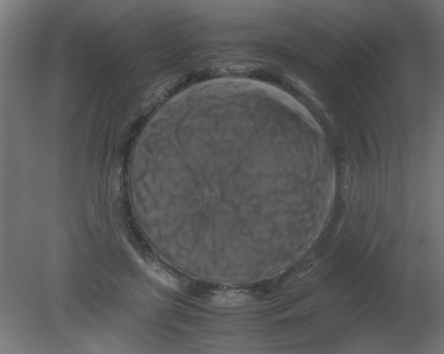 X0000080750451200701122007