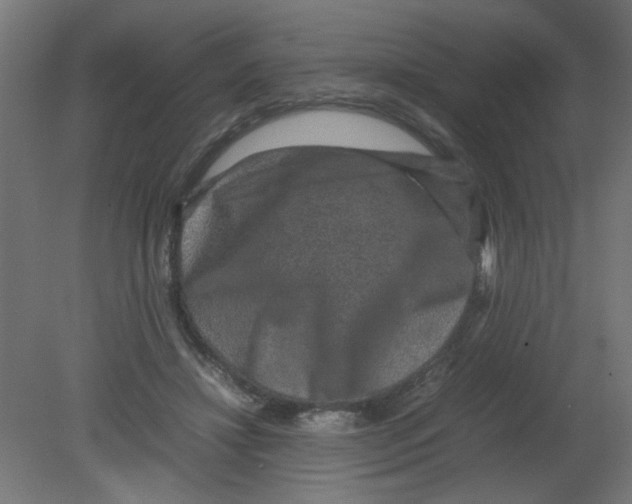 X0000080750452200701122007