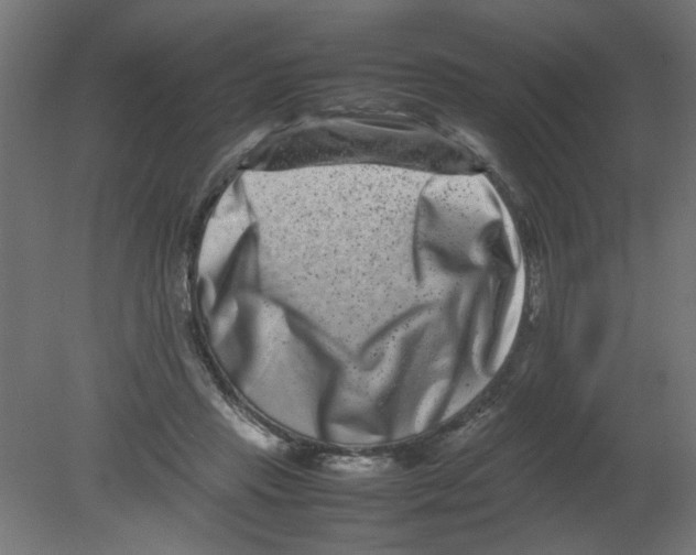 X0000080750453200701122007