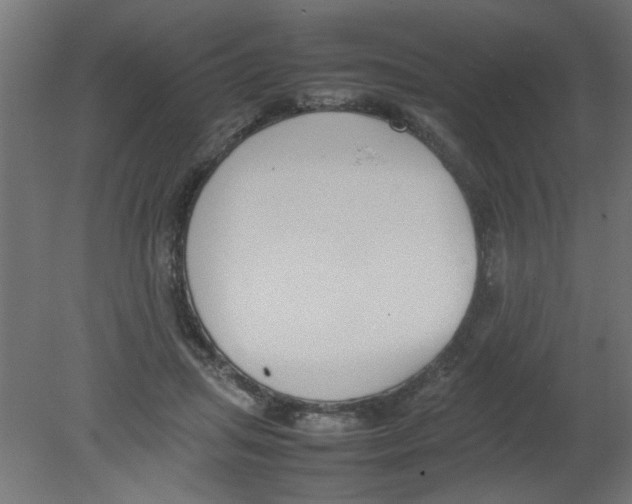 X0000080750455200701122007