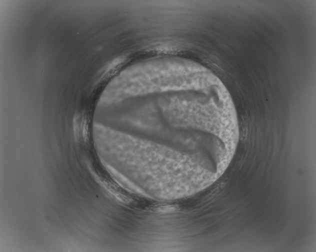 X0000080750456200701122007