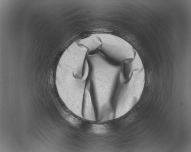 X0000080750457200701122007