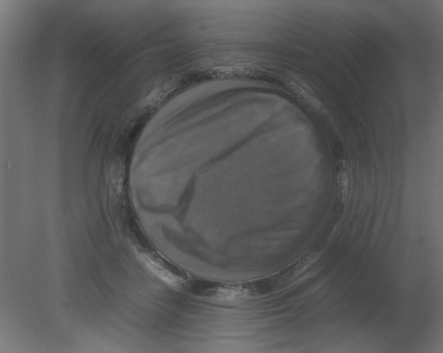 X0000080750458200701122007