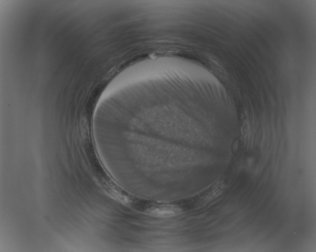 X0000080750459200701122007