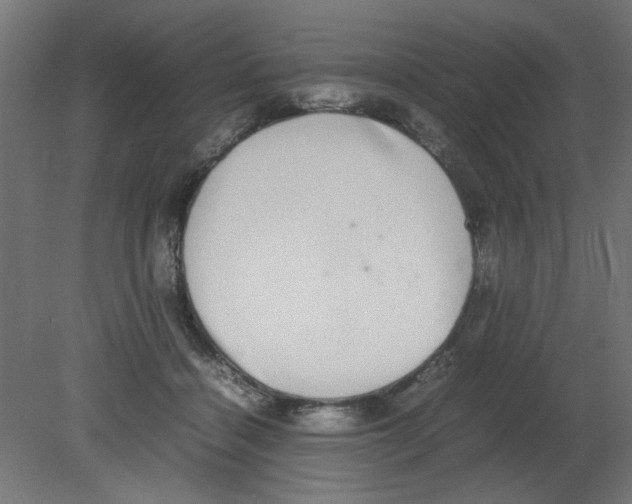 X0000080750460200701122007