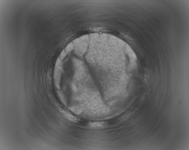 X0000080750461200701122007