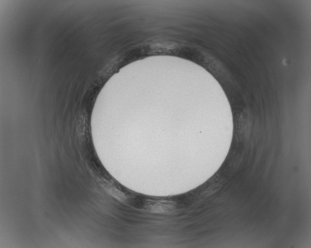 X0000080750463200701122007