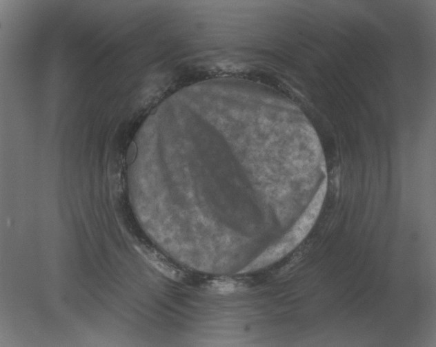 X0000080750464200701122007