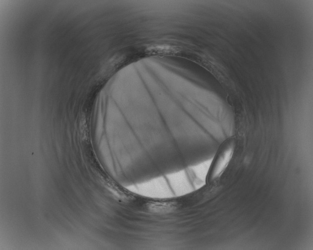 X0000080750465200701122008