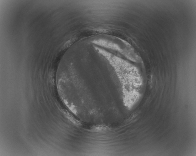 X0000080750466200701122008