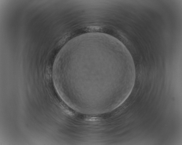 X0000080750467200701122008