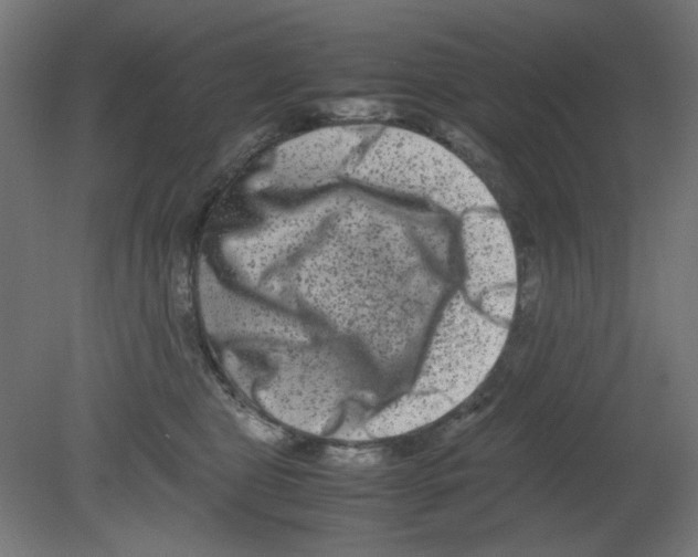 X0000080750469200701122008