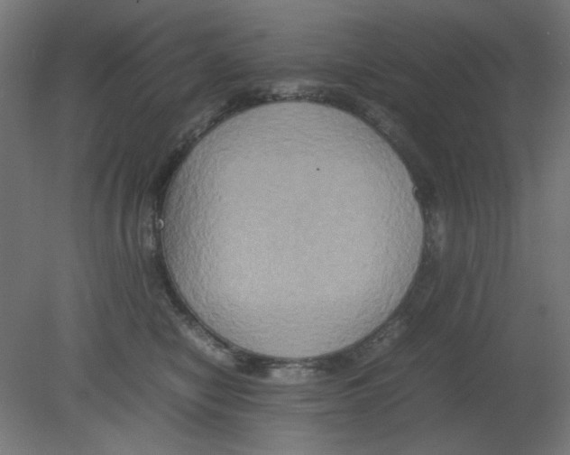 X0000080750470200701122008