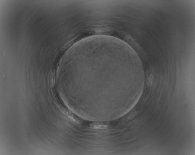 X0000080750471200701122008