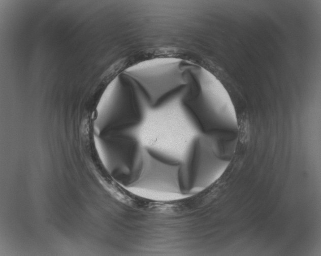 X0000080750472200701122008