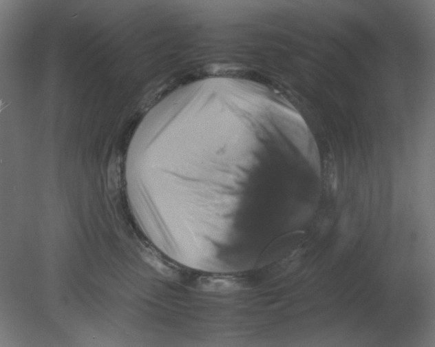 X0000080750475200701122008