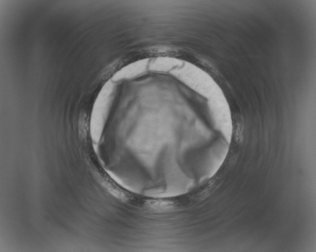 X0000080750476200701122008