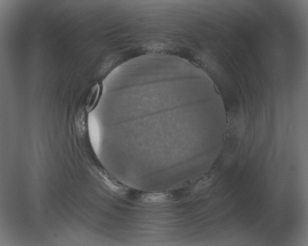 X0000080750479200701122008