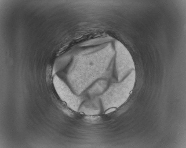 X0000080750480200701122008