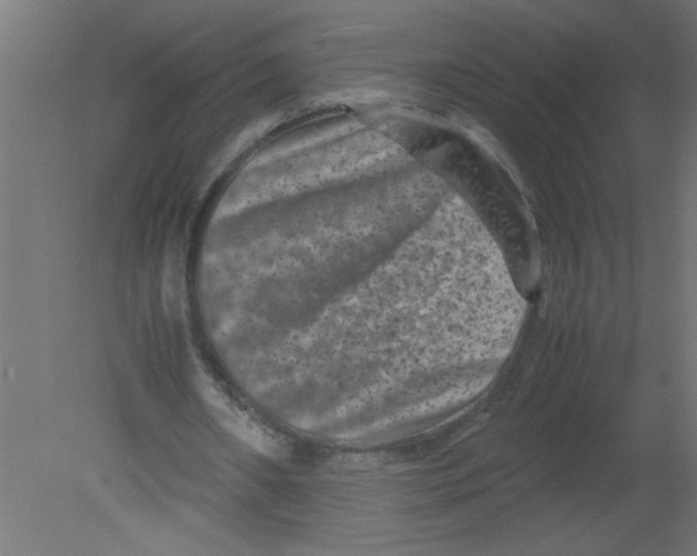 X0000080750482200701122007