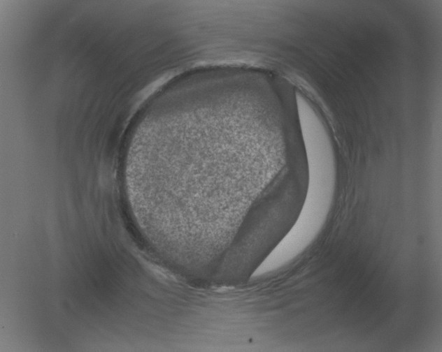 X0000080750483200701122007