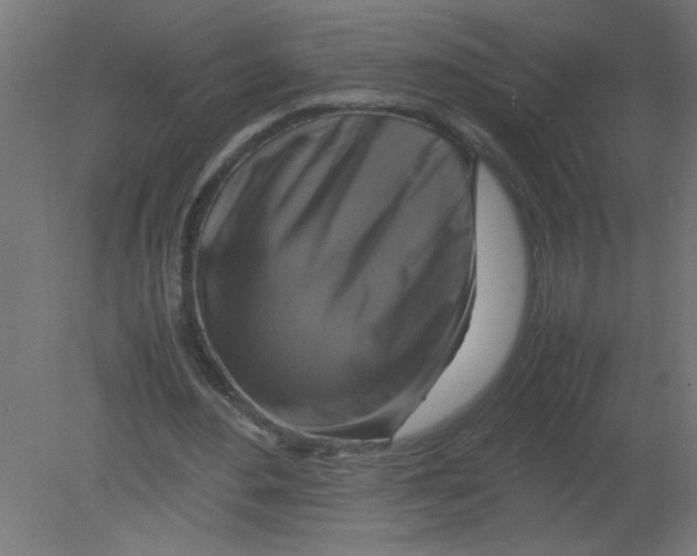 X0000080750484200701122007