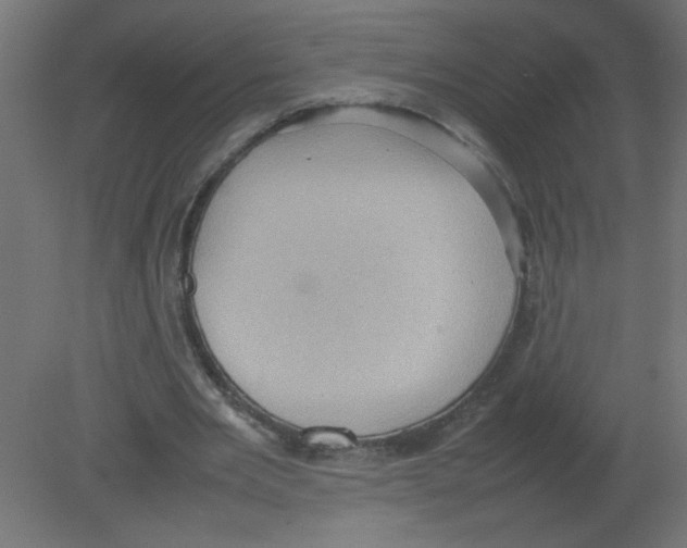 X0000080750485200701122007