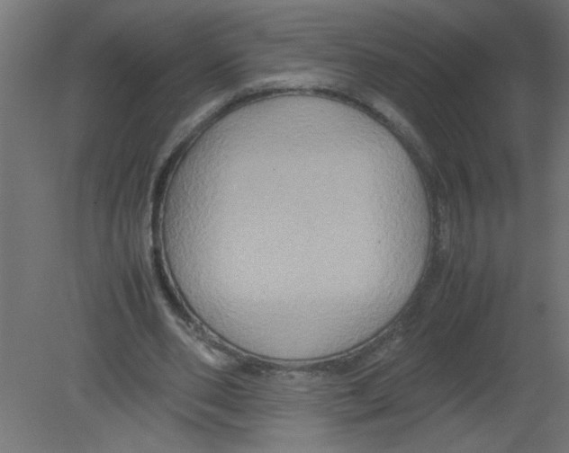 X0000080750486200701122007