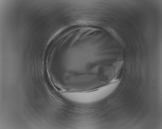 X0000080750488200701122007