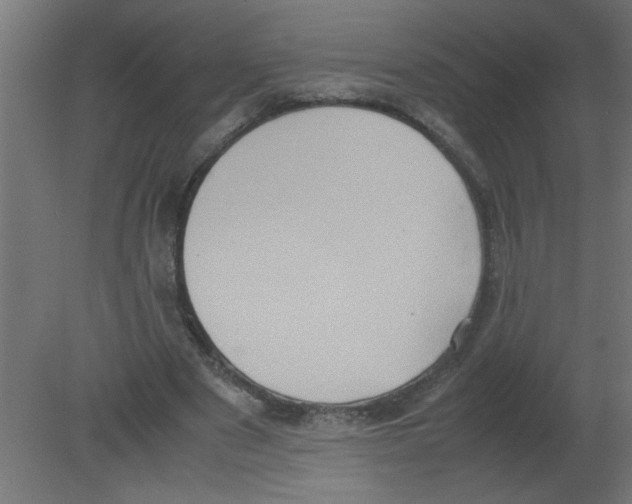 X0000080750489200701122007