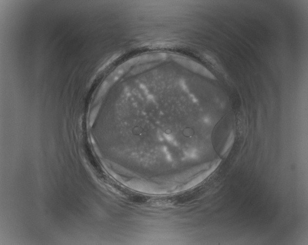 X0000080750491200701122007