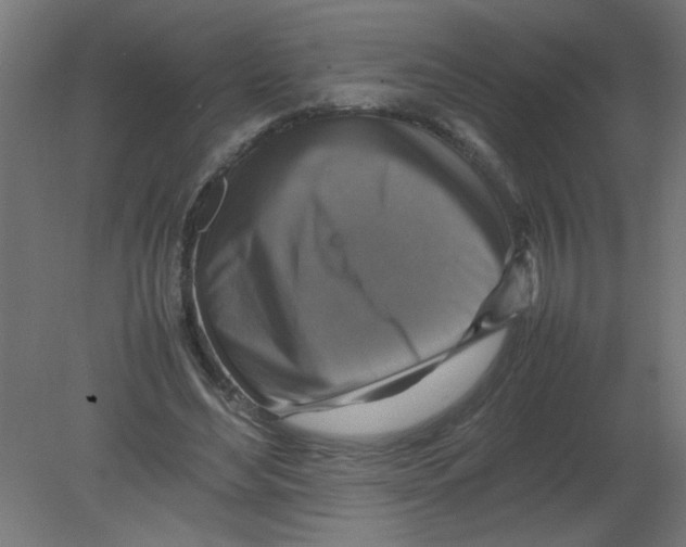 X0000080750492200701122007