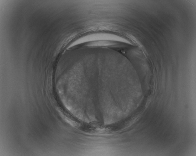 X0000080750493200701122007