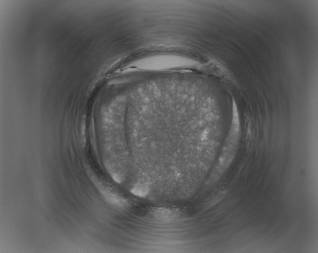 X0000080750494200701122007