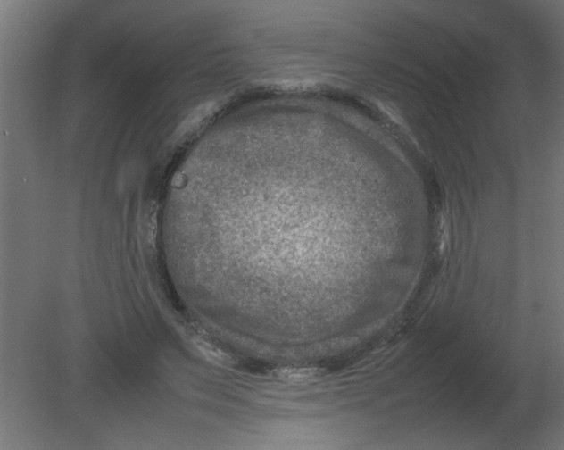 X0000080750495200701122007