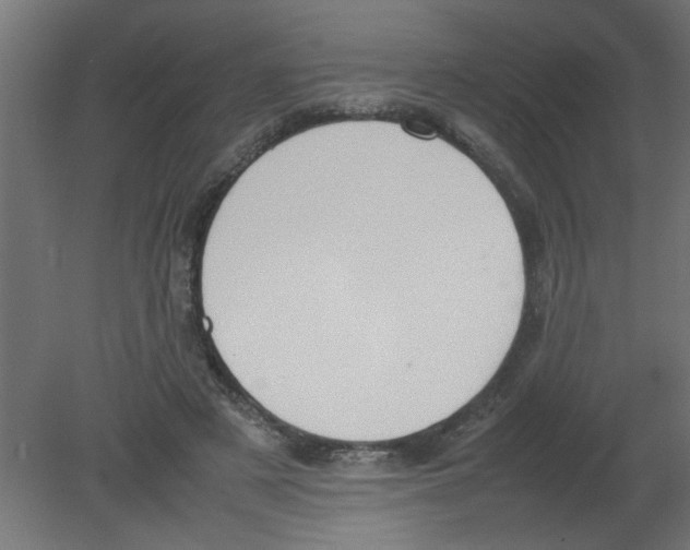 X0000080750497200701122007