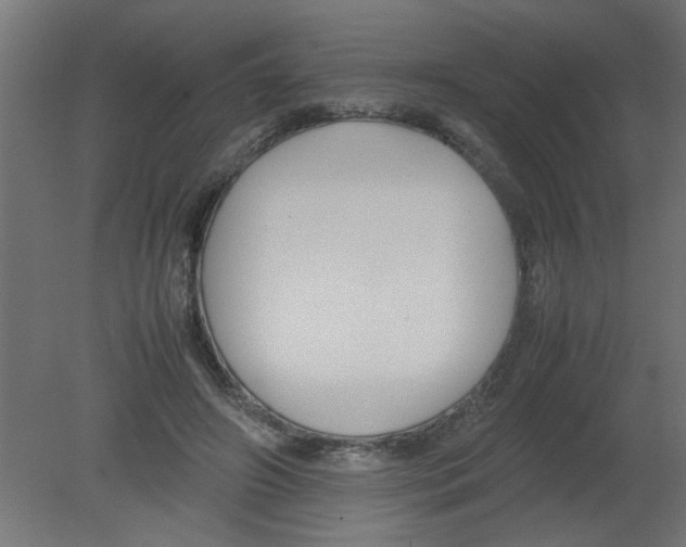 X0000080750498200701122007