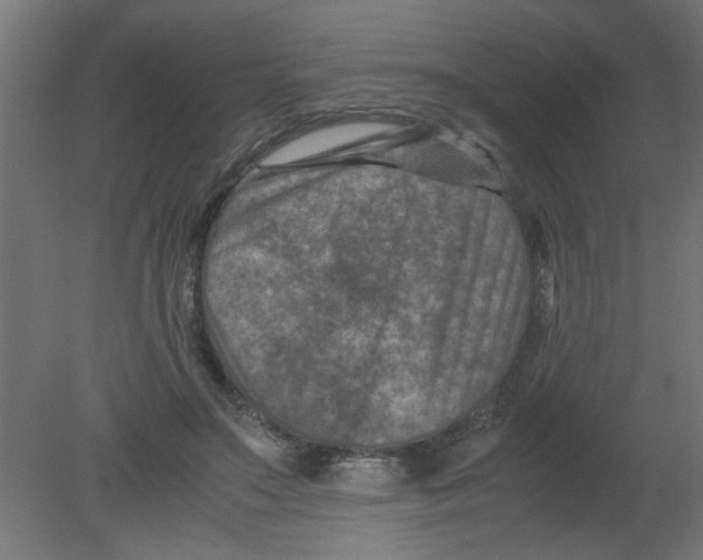 X0000080750499200701122007