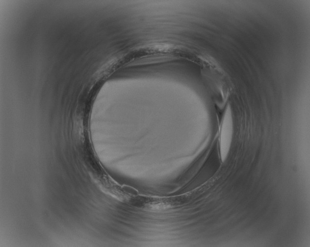 X0000080750500200701122007