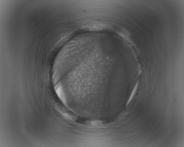 X0000080750501200701122007