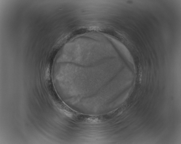 X0000080750502200701122007