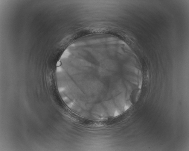 X0000080750503200701122007