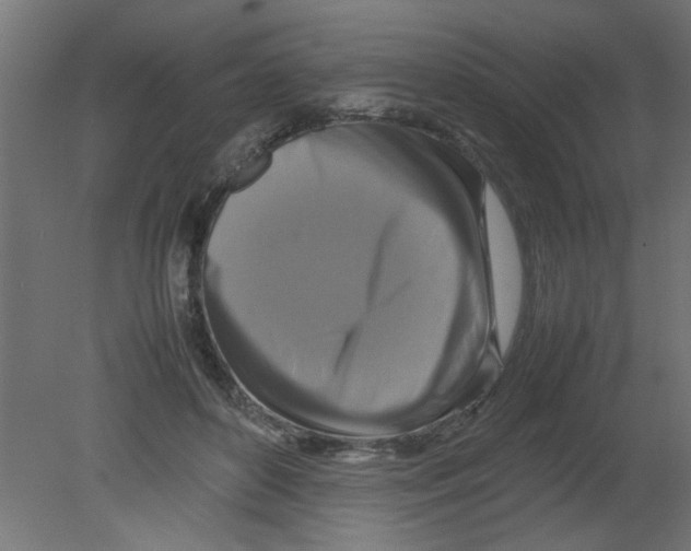 X0000080750504200701122007