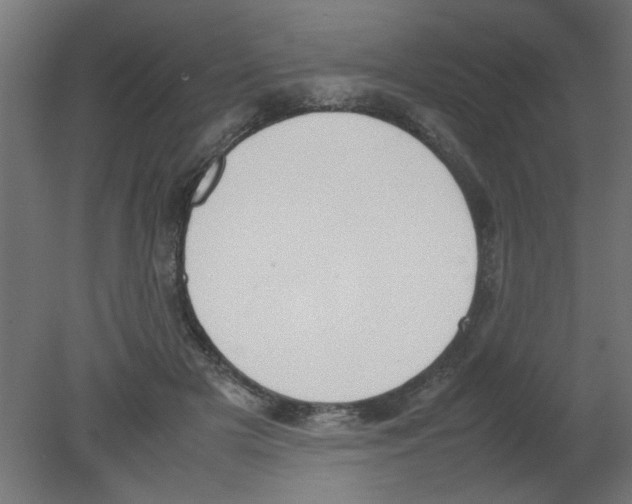 X0000080750505200701122007