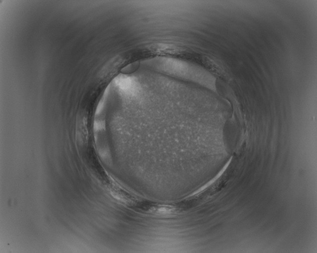 X0000080750506200701122007