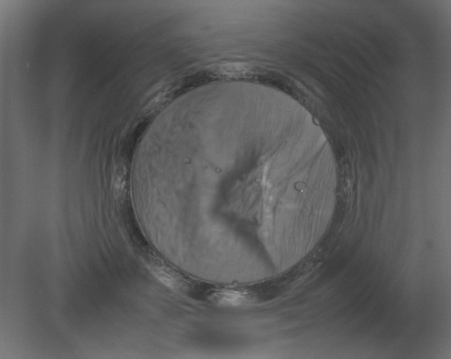 X0000080750507200701122006