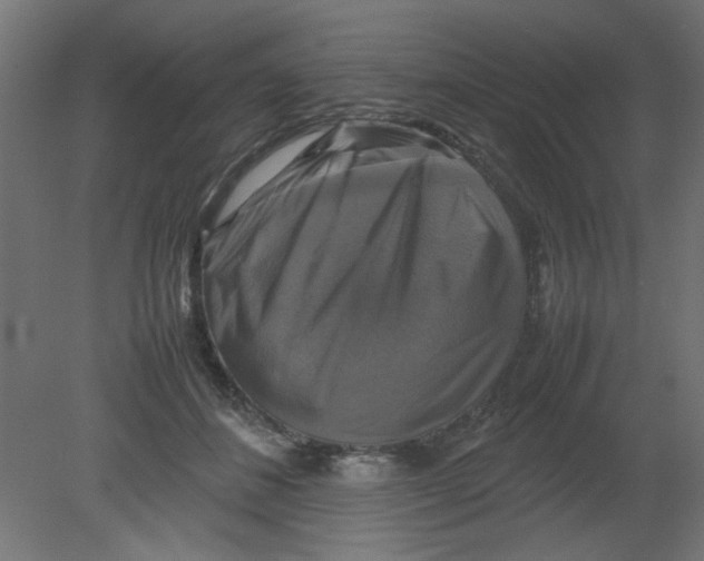 X0000080750508200701122006