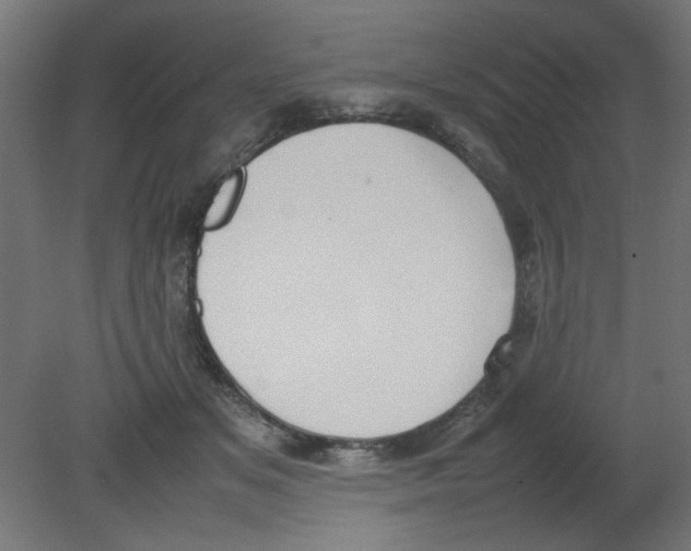 X0000080750509200701122006