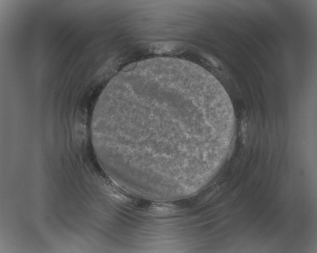 X0000080750510200701122006