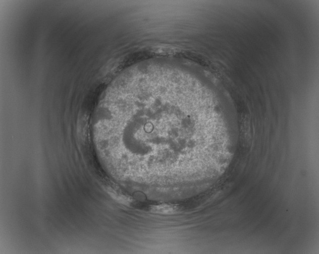 X0000080750511200701122006